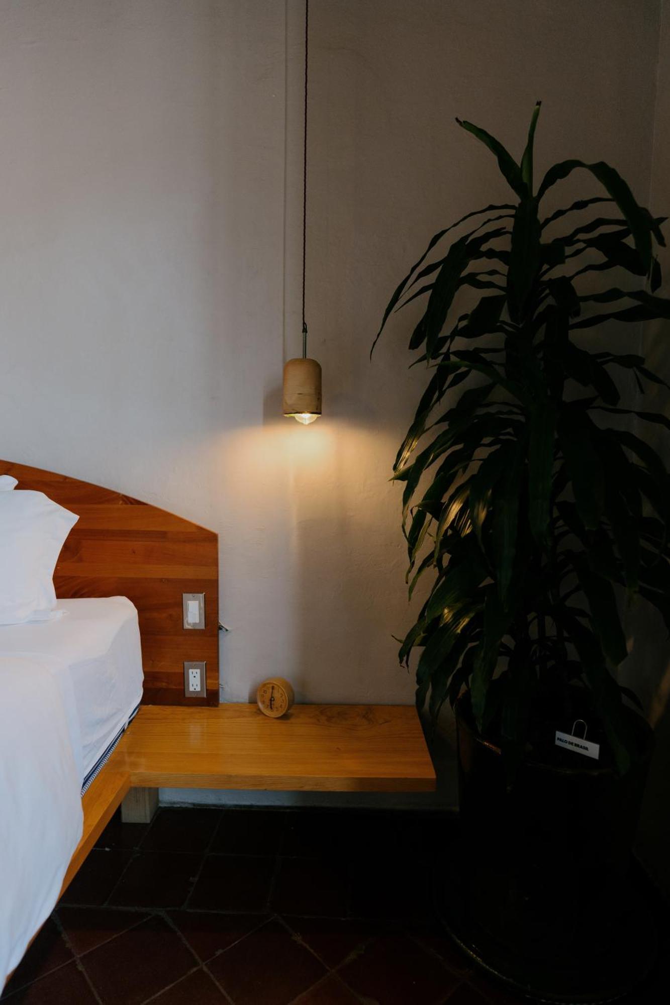 Grana B&B Oaxaca Eksteriør bilde